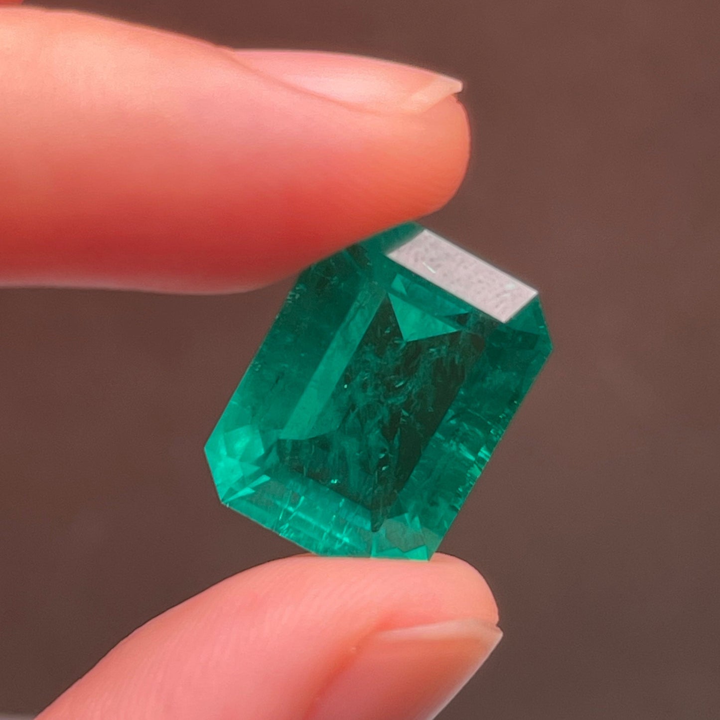 Pirmiana 13.84ct Emerald Cut Lab Grown Emerald